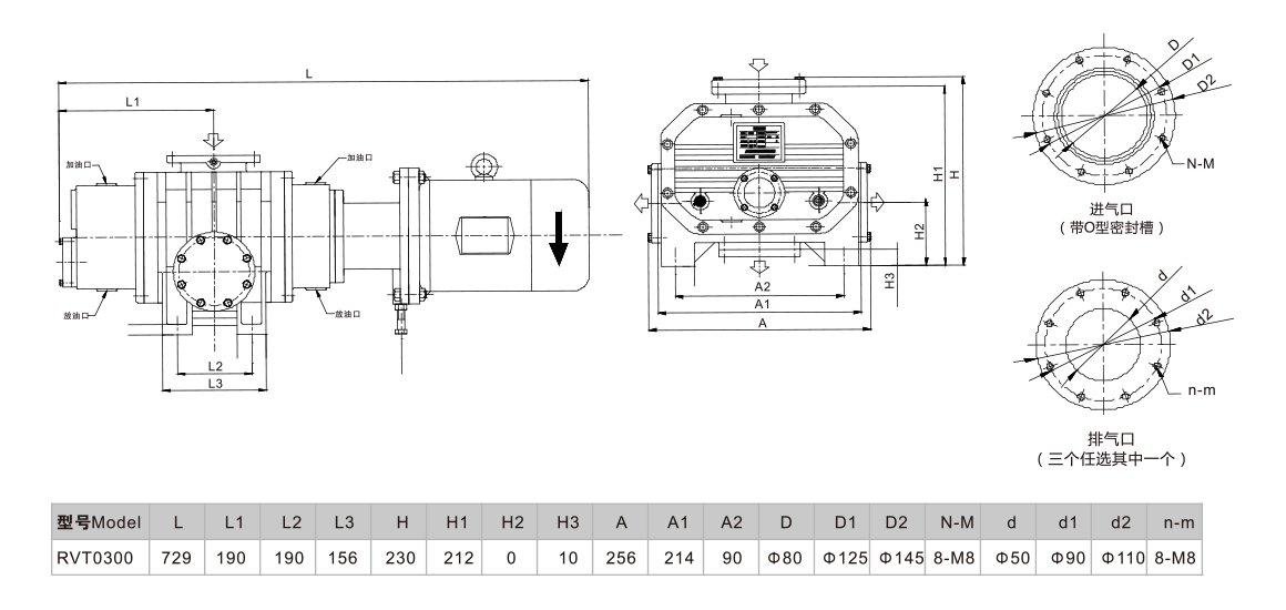 RVT0300羅茨真空泵